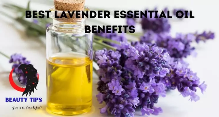 Best Lavender Essential Oil
